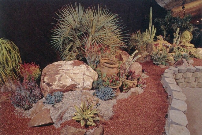 “Seussian Succulence,” the aptly named garden created by Jeff Moore of Solana Succulents, received our Horticulture Award at the San Diego Home/Garden Show. Reminiscent of the whimsical characters in a Dr Seuss children’s story, the barrel cacti, aloes, and other succulents featured in this garden were immaculately grown and exquisitely arranged in a simple composition of sand, boulders, raw pottery, and plants. Subtle lighting gave emphasis to the design, which could easily have fit into a small condominium garden to provide season-long interest with minimal upkeep. Photograph courtesy of Westward Expos