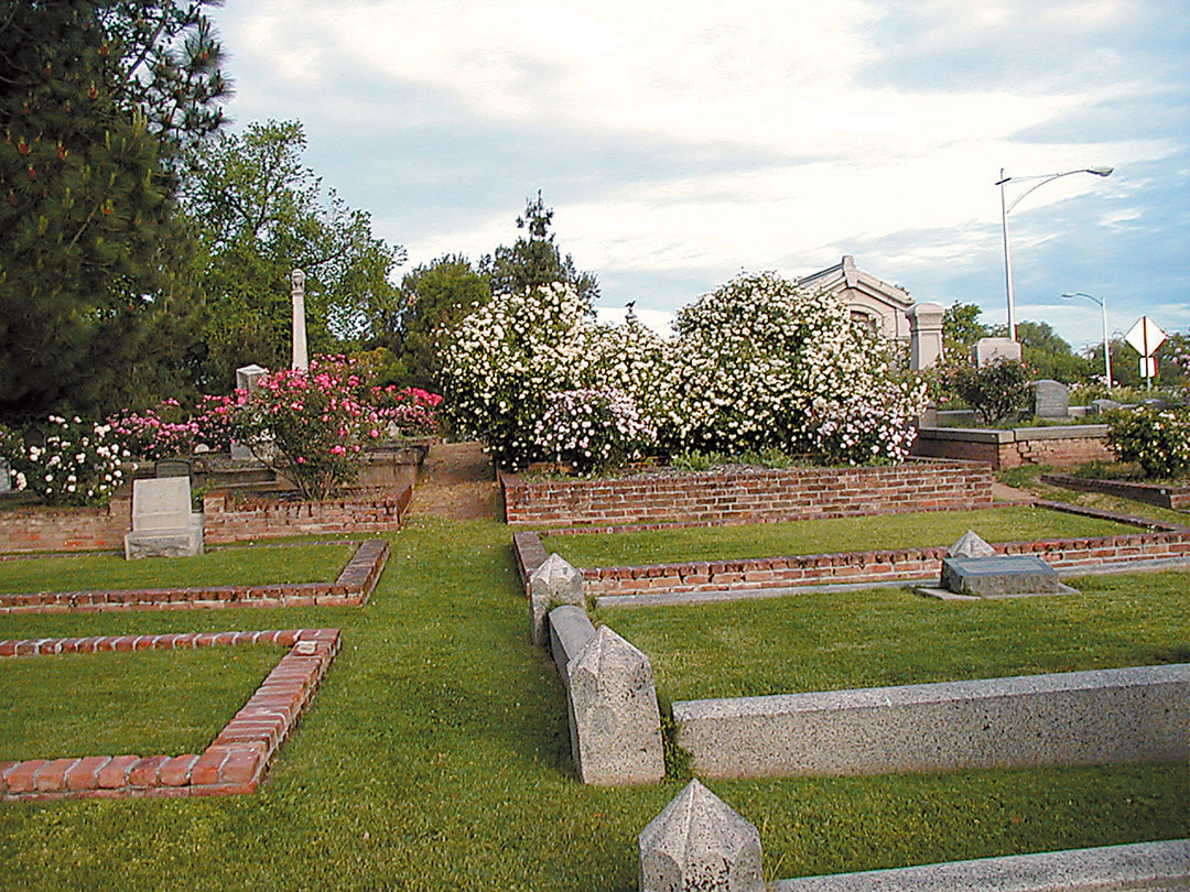When To Plant Roses In Sacramento When To Plant Roses In Sacramento