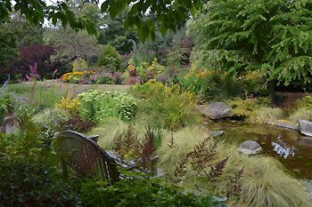 WABI_Weissman_1_web