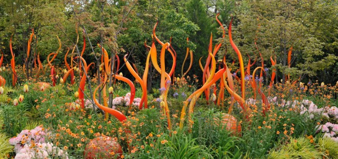 Chihuly-hero