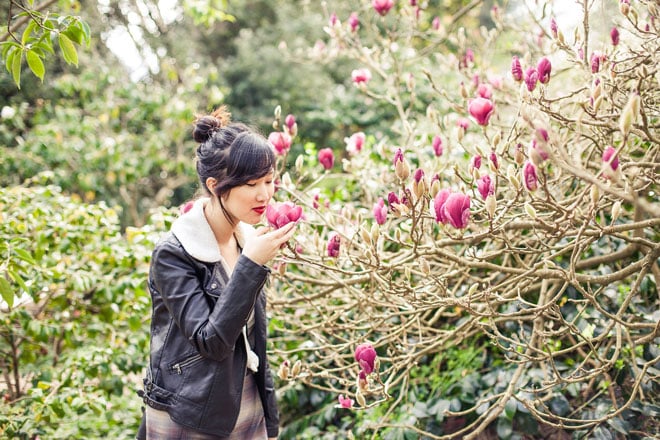 Don’t miss the blooming magnolias at San Francisco Botanical Garden. It's a seasonal spectacle. Photo: Kathryn Rummel