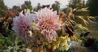 Food-to-flowers-feature