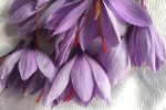 saffron-feature