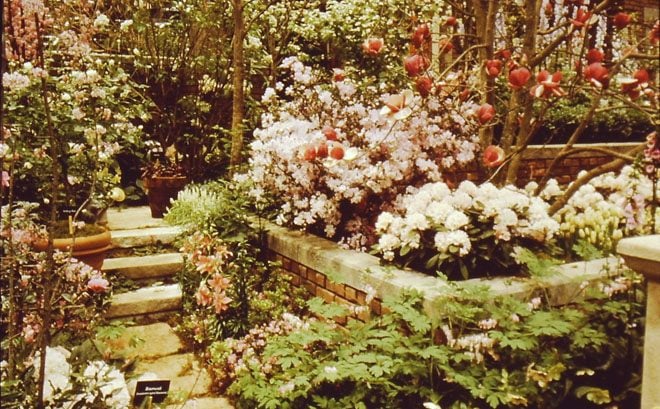 A design's attention to detail in producing an abundant spring in February is on display in this archive photo from the 1990 Northwest Flower & Garden Show. Photo: courtesy of NWF&G Show