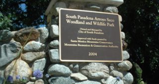 ribboncutting-feature