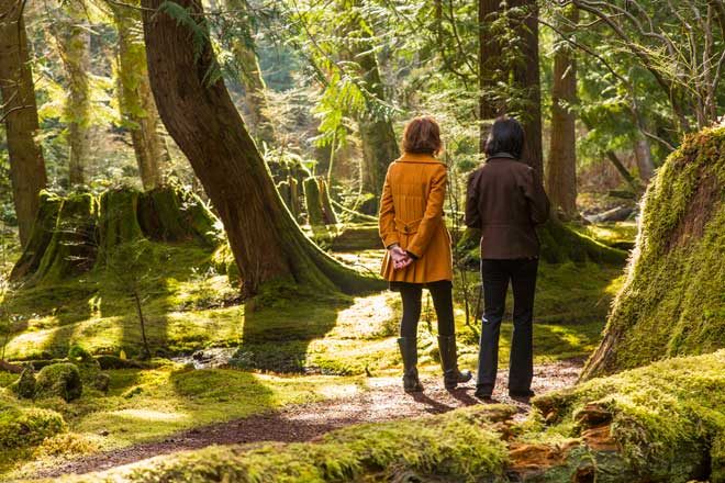 Footpaths and trails through the Moss Garden allow visitors to immerse themselves in natural beauty. Photo: courtesy of Bloedel Reserve