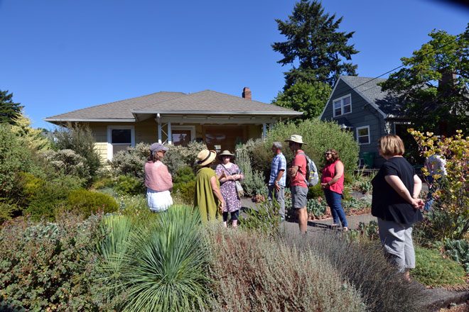 The home garden of Greg Shepherd, extraordinary plantsman and co-owner of Xera Plants, is a living laboratory and testing grounds for the low water, West Coast native, and climate adapted plants that the nursery is known for.