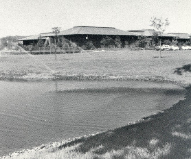 “Landscaping” requirements imposed on new business developments tend to be translated into high water use landscapes. Here lawns and coast redwoods at a Walnut Creek bank combine to produce a water wasting landscape. Even the skimpy curb-side strips are planted with lawn requiring wasteful overspray of the sidewalk.