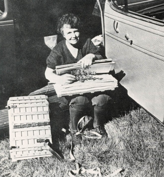 Lester with plant press and the car converted for camping.