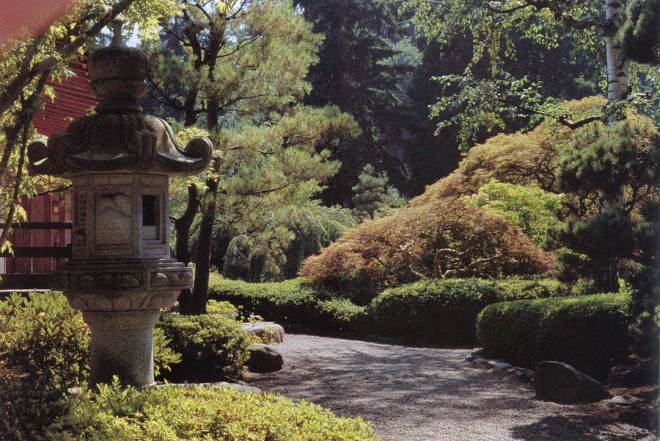 Lantern and maples. Photograph by George Waters