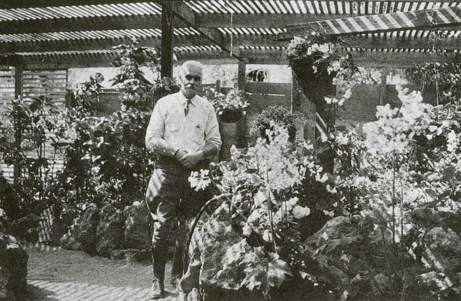 Passionate gardeners such as A D Robinson invested their entire lives in horticultural civic improvements. Famous in begonia circles, hybridizer and nurseryman Robinson also did much to beautify San Diego for its 1915 exposition and to promote it as a garden mecca in southern California. Photograph courtesy of the San Diego Floral Association