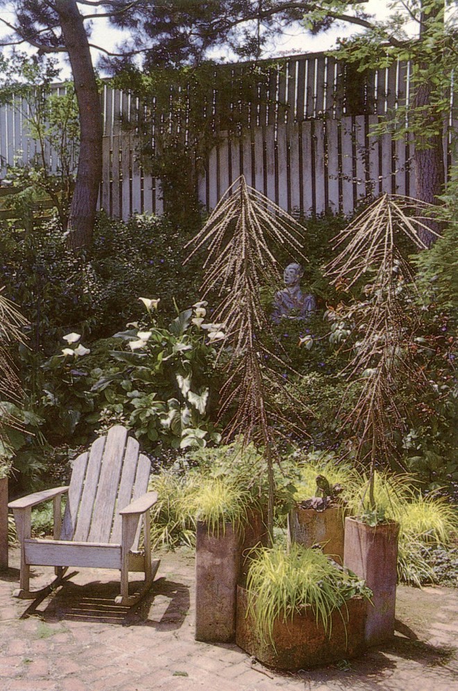 A pair of juvenile Pseudopanax ferox accent a corner of Bob Clark’s garden in Oakland