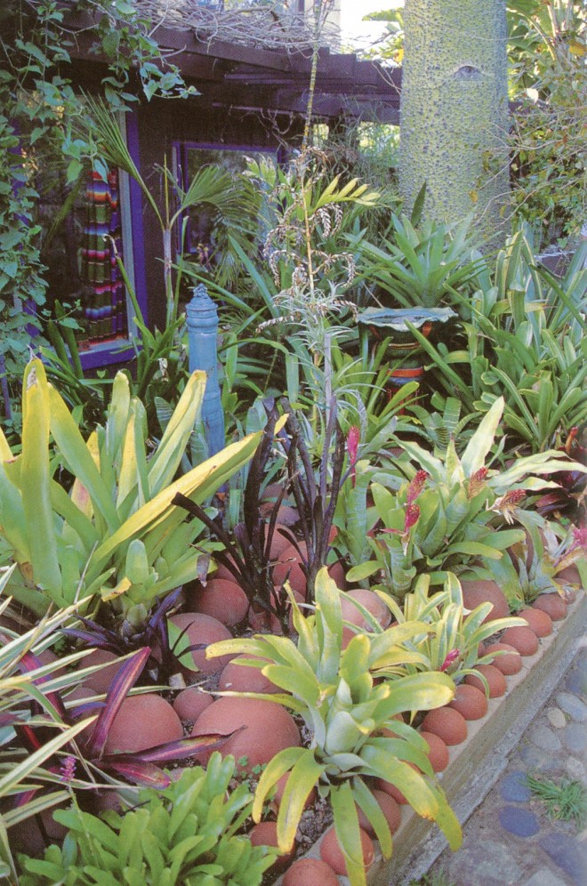 Terra cotta rocks as ground cover in the Bromeliad Garden. Photograph by RGT