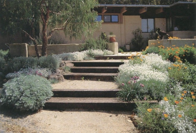 Simple pattern of timber steps, decomposed granite paving, and rammed earth walls—all local materials—connect house and garden to the region. (Author’s garden, Martinez)