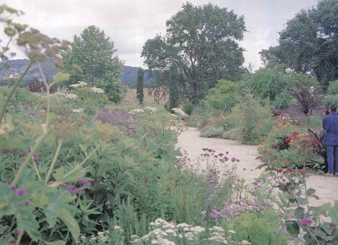 The Fetzer Vineyards’ habitat borders in summer. Author’s photographs
