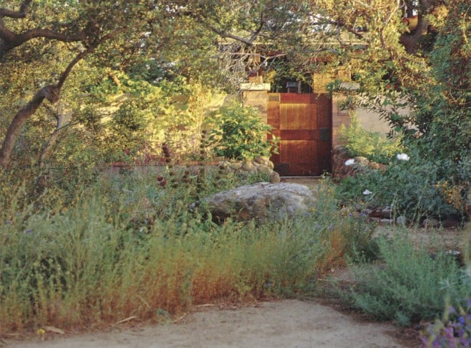 The afternoon sun illuminates a Craftsman-style gate set within the perimeter stucco wall enclosing El Chaparro. Beyond the shade of a native oak (Quercus berberidifolia), California poppies (Eschscholzia californica) and Matilija poppies (Romneya coulteri) flower. Photographs by David Rago