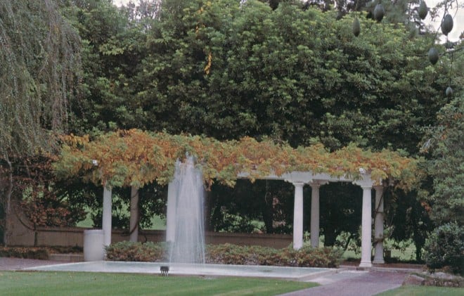 Wisteria arbor and pool at one end of the Fowler Garden