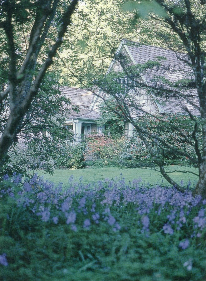 The Milner home viewed from the glade, bluebells (Hyacinthoides non-scriptus) in the foreground. Authors’ photographs, except as noted