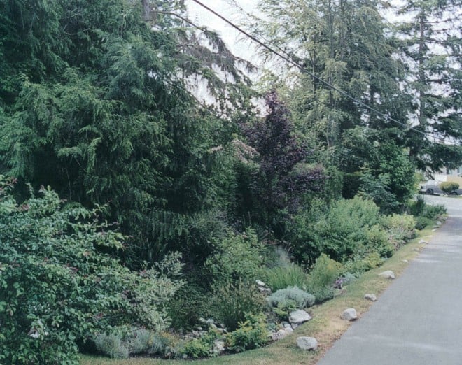 The combination of plant textures and forms offers year-round interest and wildlife habitat in the naturalistic, but far from totally native, landscape of the lower portion of Ditch Three