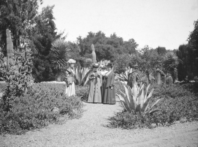 Fashions suggest an 1890s date for this historic view of the Stanford Arizona Garden. Photograph courtesy Stanford University Archives