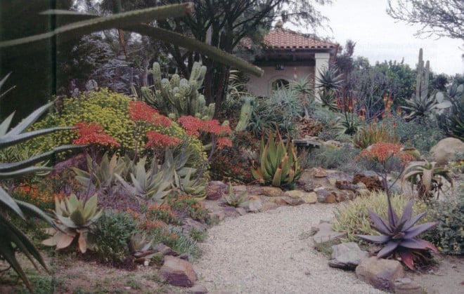 The desert garden with a view to the pavilion; Aloe striata flowers to the left of the path