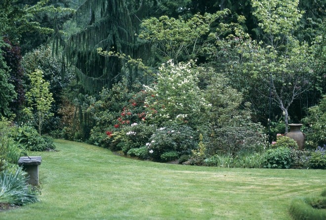 A thoughtfully planted border along the south edge of Anne Holt’s garden. The dense hedgerow features plants in every shade of green, growing in forms tall and short, leafy and needled, mounded and weeping. The voluptuous urn, placed off-center, balances the lawn’s curve at left.