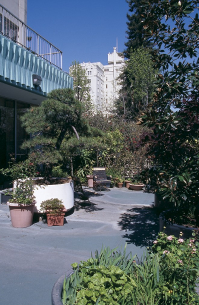 Containers of various sizes and shapes fill the terrace garden outside the residents’ lounge with small trees, shrubs, perennials, and annuals. Photographs by RGT - See more at: https://www.pacifichorticulture.org/articles/the-gardens-of-lake-park/#sthash.1VhSAG35.dpuf