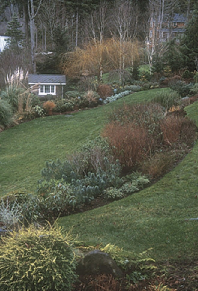 Same view in winter, with stems of deciduous shrubs and trees providing colorful accents against the curving lines of the beds