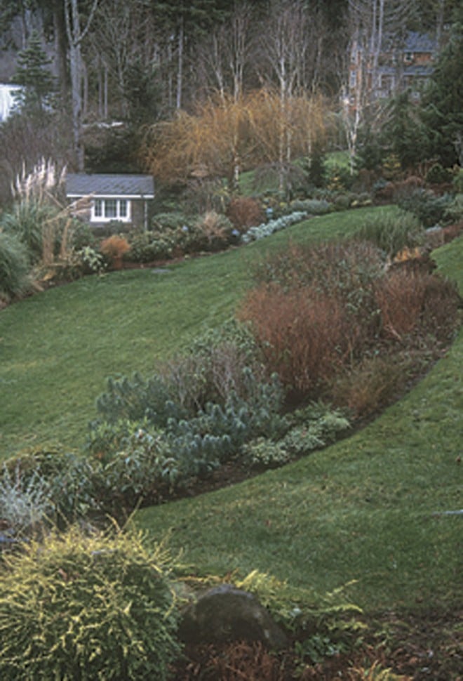 Same view in winter, with stems of deciduous shrubs and trees providing colorful accents against the curving lines of the beds