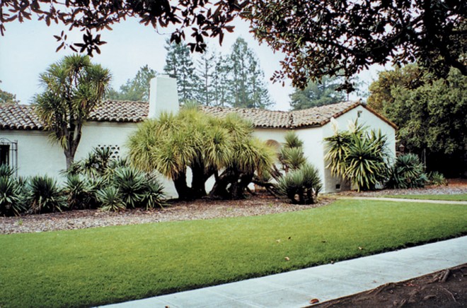 Bold plantings of giant dracaena (Cordyline australis) and yuccas suit the architecture of the Gifford home