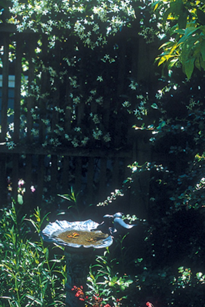 A simple birdbath