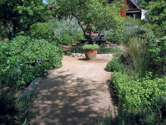 A softly formal landscape of California natives and other water conserving plants - See more at: https://www.pacifichorticulture.org/articles/landscaping-with-natives-in-san-diego/#sthash.FrGOIf7v.dpuf