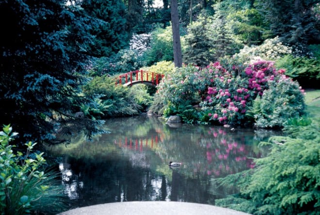 A red bridge focuses our attention on the length of this watery space, thus accentuating its size (Kubota Garden, Seattle) - See more at: https://www.pacifichorticulture.org/articles/making-gardens-seem-bigger-part-ii/#sthash.UkjxOBix.dpuf