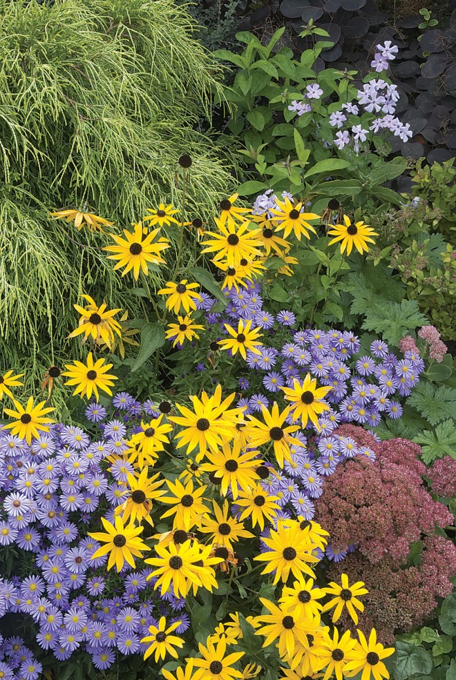 What I look for in a vignette image is a harmony of proportion among shape, color, and textures. It appears here in abundance in the garden of Stacie Crooks, Seattle, Washington. - See more at: https://www.pacifichorticulture.org/articles/a-recipe-for-seeing/#sthash.zsOEwB7A.dpuf