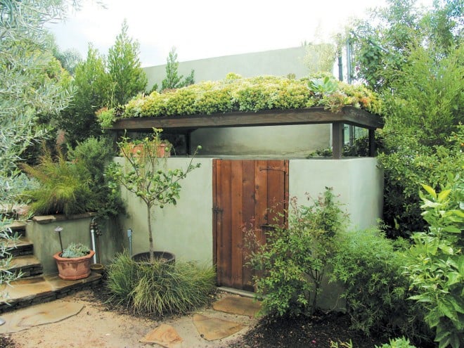 Succulents lushly cover the pool shed in Sherman Oaks, California. Photograph by Flower to the People; design by Comfort Zones Garden Design