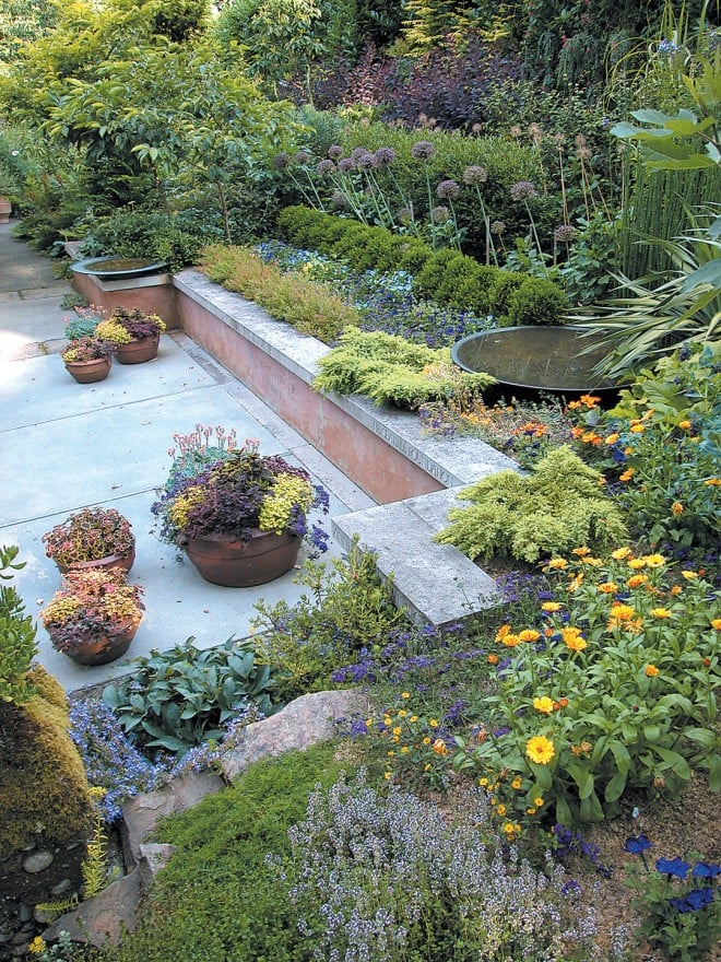 Rows of hedge-like evergreen “panels” step up behind the retaining wall, in early summer