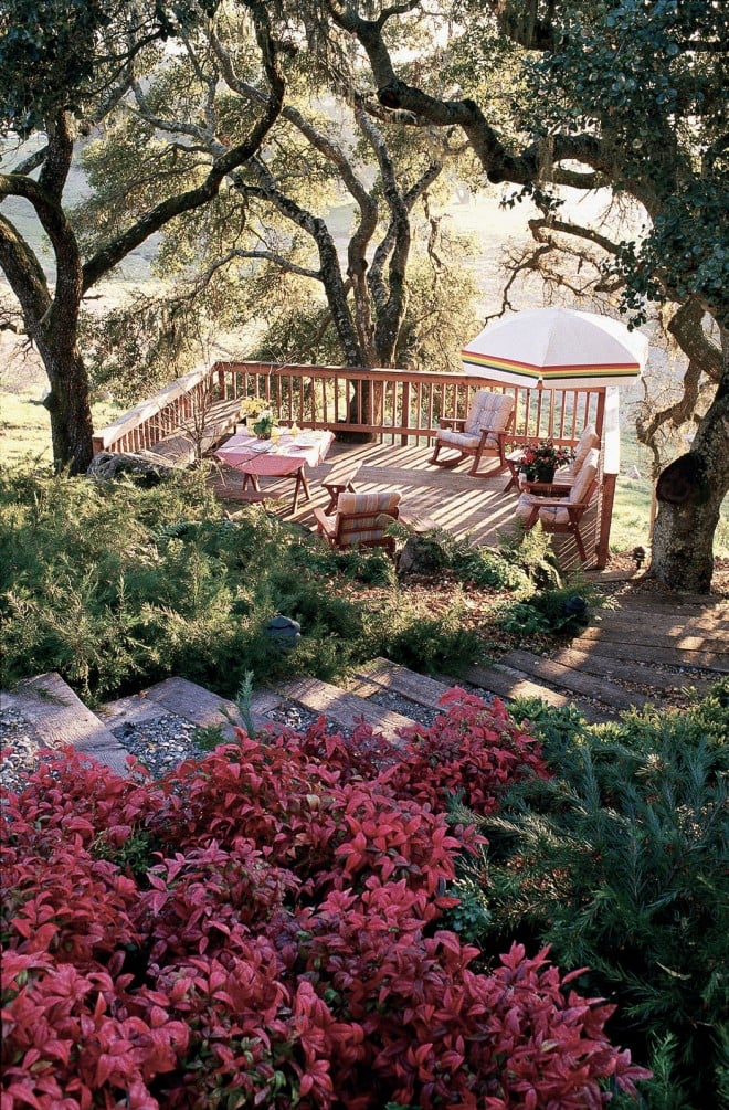 Sustainable garden? This picture, taken twenty years ago is a manipulated fantasy: each of the low shrubs is in a five-gallon nursery can. Author’s photographs