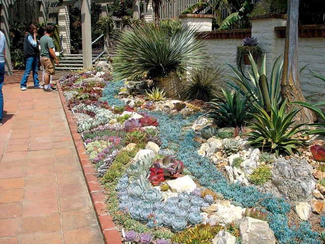 An elaborately ornamental succulent bed adjoining the Garden’s other colorful planting beds