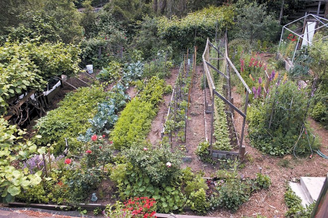 The largest section of the garden, on a terraced slope, as seen from the roof in spring. Photographs by Bob Hakins