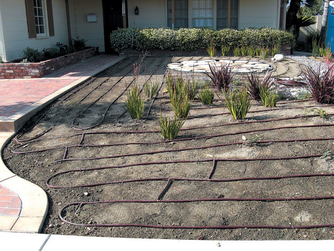 Inline drip irrigation lines about to be buried under two inches of soil and two inches of mulch