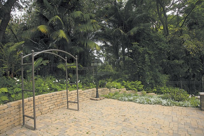 The Lawn House Garden: new drought tolerant plantings with a tropical look in the foreground against the long-established background plantings of the high water use Tropical Rain Forest