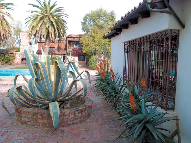 Brick planting wells in the main courtyard once held full-sized ‘Eureka’ walnut trees but now contain variegated century plants (Agave americana ‘Marginata’)