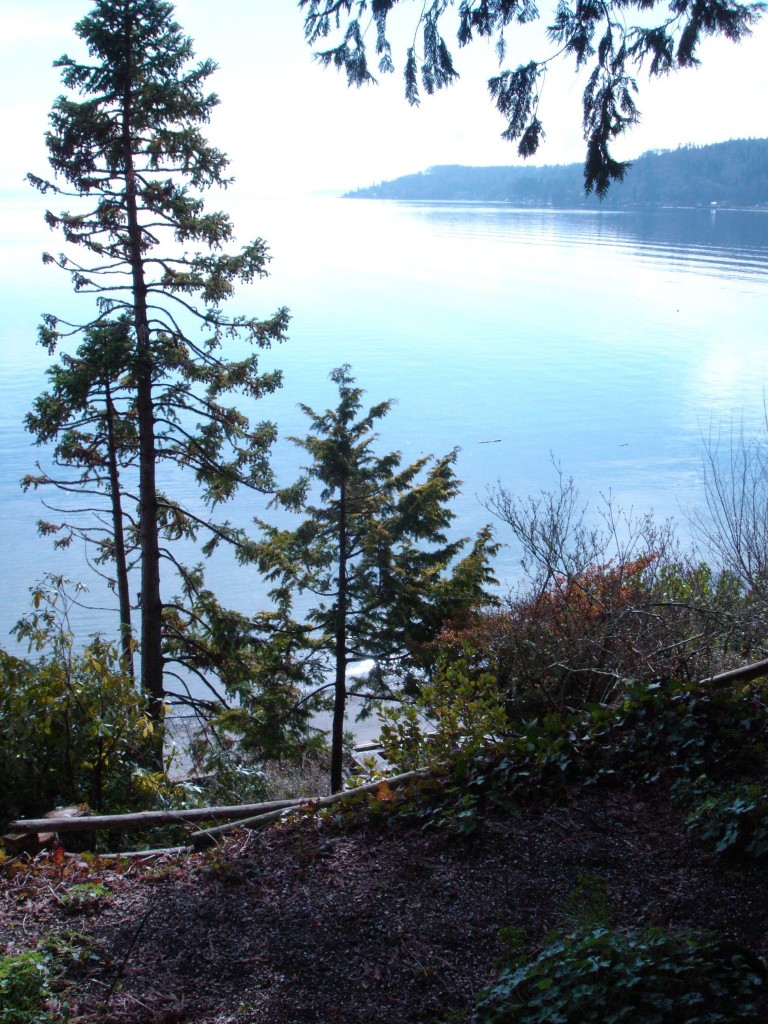 Betty MacDonald property today