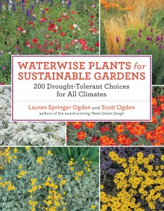 waterwise plants cover