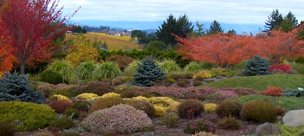 Autumn in Sebastopol garden