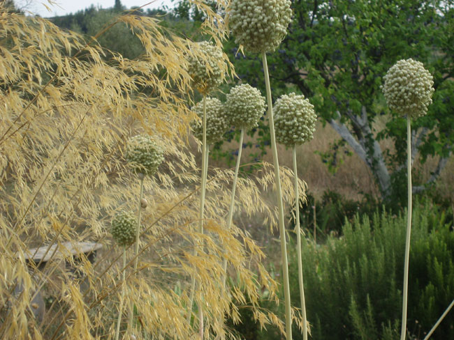 Jardin des Rossignols