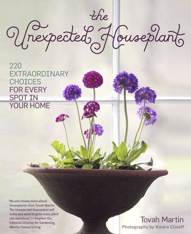 houseplants