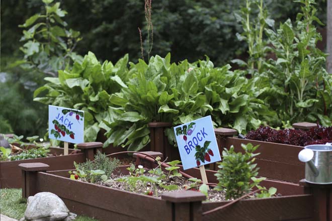 Strawberry markers cheerfully call out the names of the homeowner's children who inspired the garden. Photo: Murphy McCann