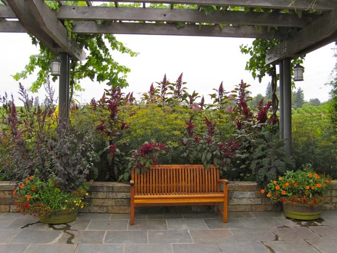 Towering bronze fennel along with ‘Red Cathedral’
and ‘Giant Burgundy’ amaranth shelter a comfortable
bench flanked by barrels of colorful annuals. Photo: Kate Frey