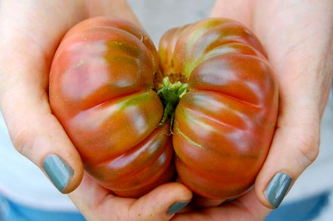 The Brooklyn Grange produces delicious organic and very local crops for neighbors and restaurants. Photo: Dan Corum